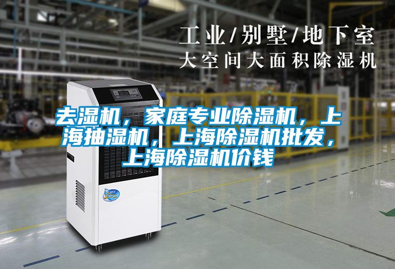 去濕機(jī)，家庭專業(yè)除濕機(jī)，上海抽濕機(jī)，上海除濕機(jī)批發(fā)，上海除濕機(jī)價(jià)錢