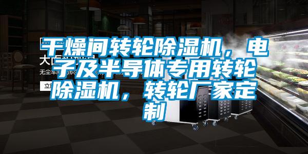 干燥間轉(zhuǎn)輪除濕機(jī)，電子及半導(dǎo)體專用轉(zhuǎn)輪除濕機(jī)，轉(zhuǎn)輪廠家定制