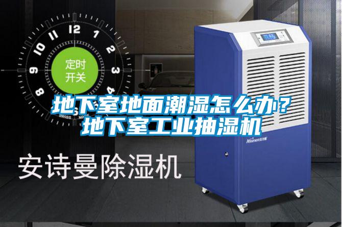 地下室地面潮濕怎么辦？地下室工業(yè)抽濕機(jī)