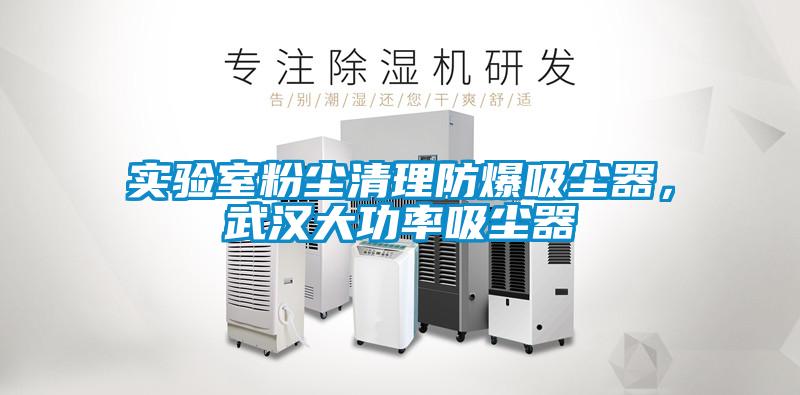實(shí)驗(yàn)室粉塵清理防爆吸塵器，武漢大功率吸塵器