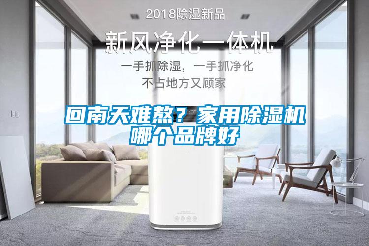 回南天難熬？家用除濕機(jī)哪個品牌好