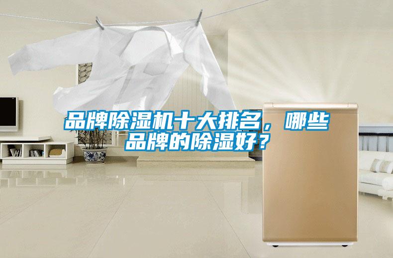 品牌除濕機十大排名，哪些品牌的除濕好？
