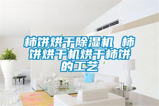 柿餅烘干除濕機 柿餅烘干機烘干柿餅的工藝