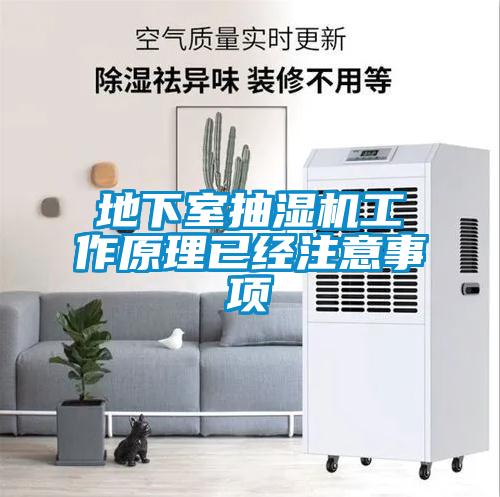 地下室抽濕機工作原理已經(jīng)注意事項
