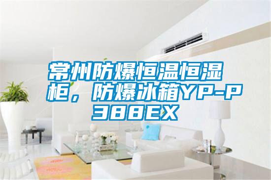 常州防爆恒溫恒濕柜，防爆冰箱YP-P388EX