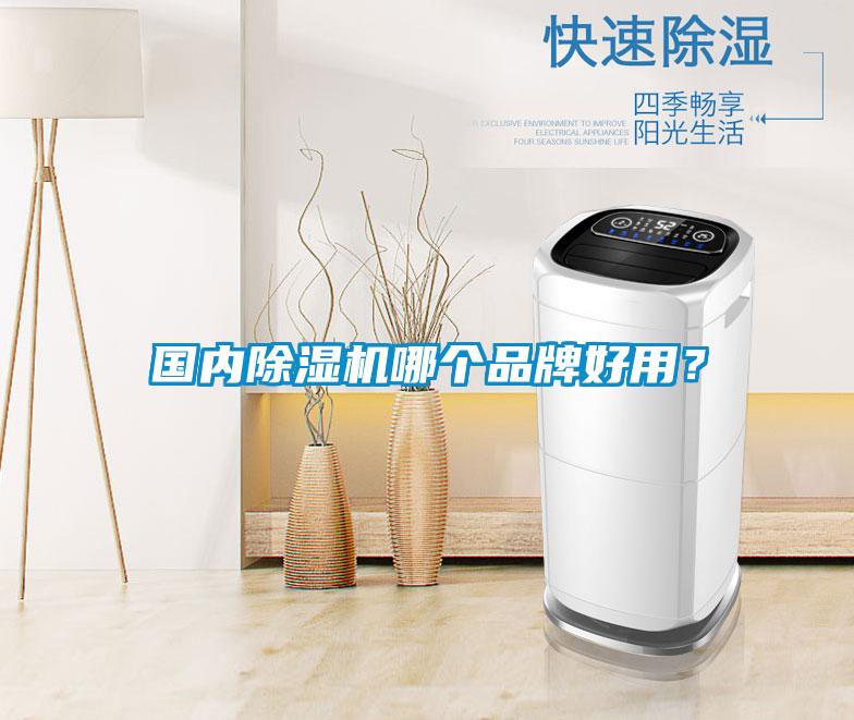 國內(nèi)除濕機哪個品牌好用？