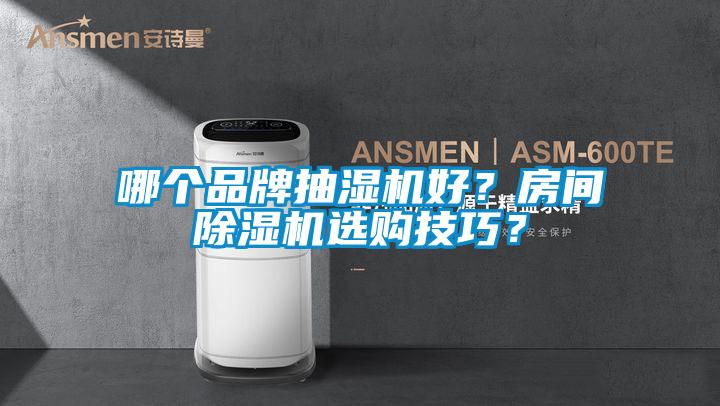 哪個品牌抽濕機好？房間除濕機選購技巧？