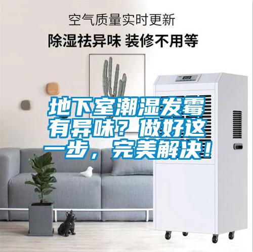 地下室潮濕發(fā)霉有異味？做好這一步，完美解決！