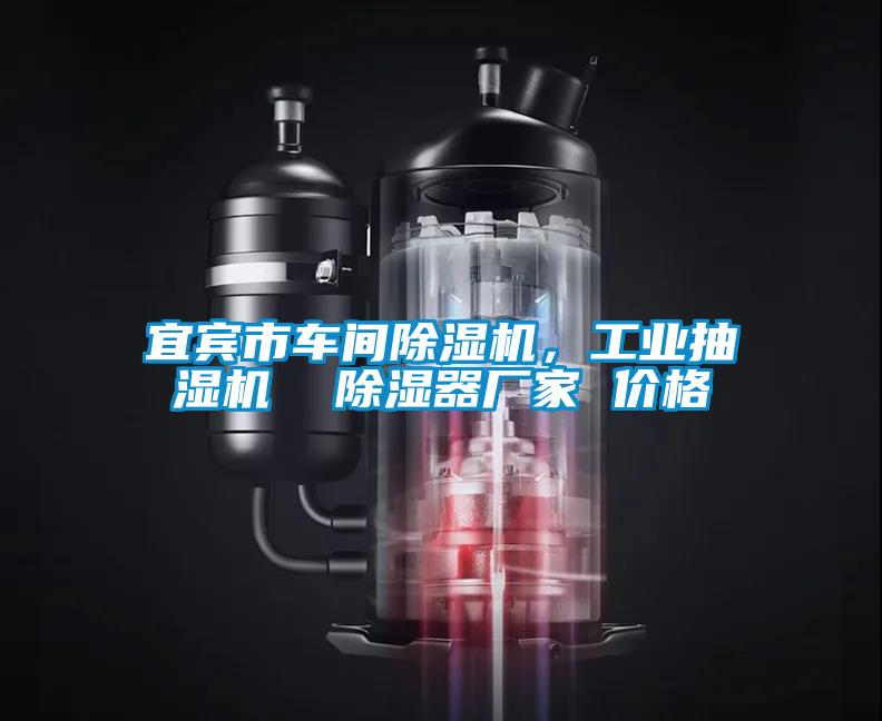 宜賓市車間除濕機(jī)，工業(yè)抽濕機(jī)  除濕器廠家 價格