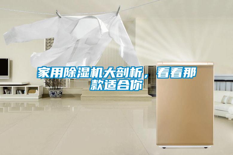家用除濕機大剖析，看看那款適合你