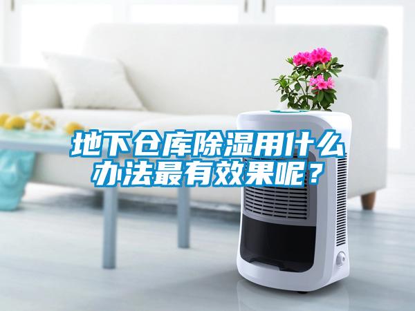 地下倉(cāng)庫(kù)除濕用什么辦法最有效果呢？