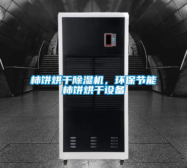 柿餅烘干除濕機，環(huán)保節(jié)能柿餅烘干設(shè)備