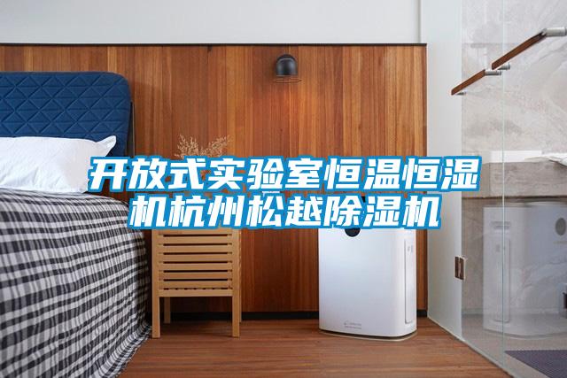 開放式實驗室恒溫恒濕機(jī)杭州松越除濕機(jī)