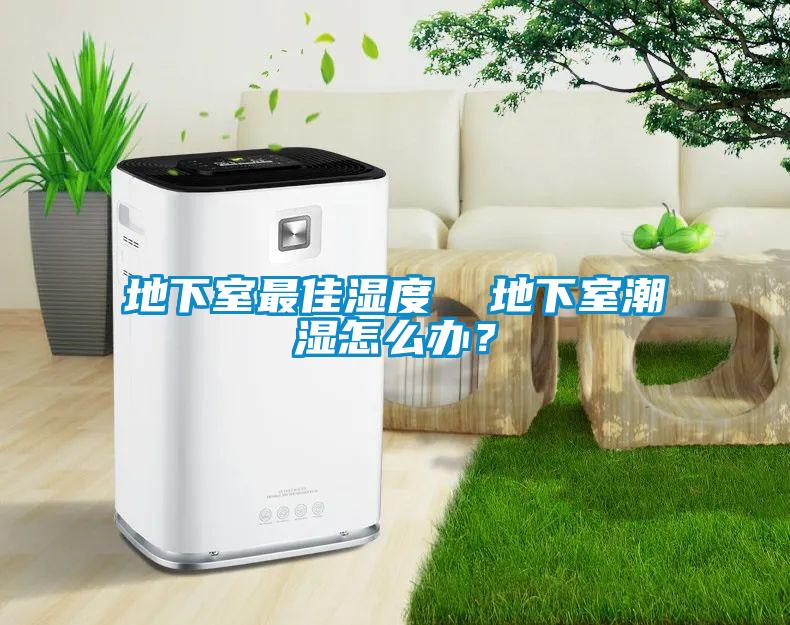 地下室最佳濕度  地下室潮濕怎么辦？