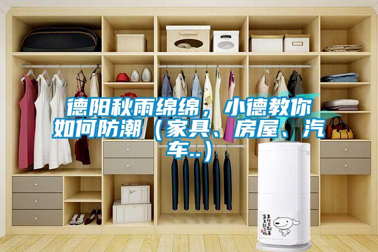 德陽秋雨綿綿，小德教你如何防潮（家具、房屋、汽車..）
