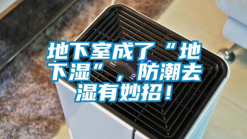 地下室成了“地下濕”，防潮去濕有妙招！