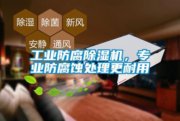 工業(yè)防腐除濕機(jī)，專業(yè)防腐蝕處理更耐用