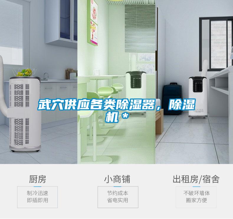 武穴供應(yīng)各類除濕器，除濕機＊