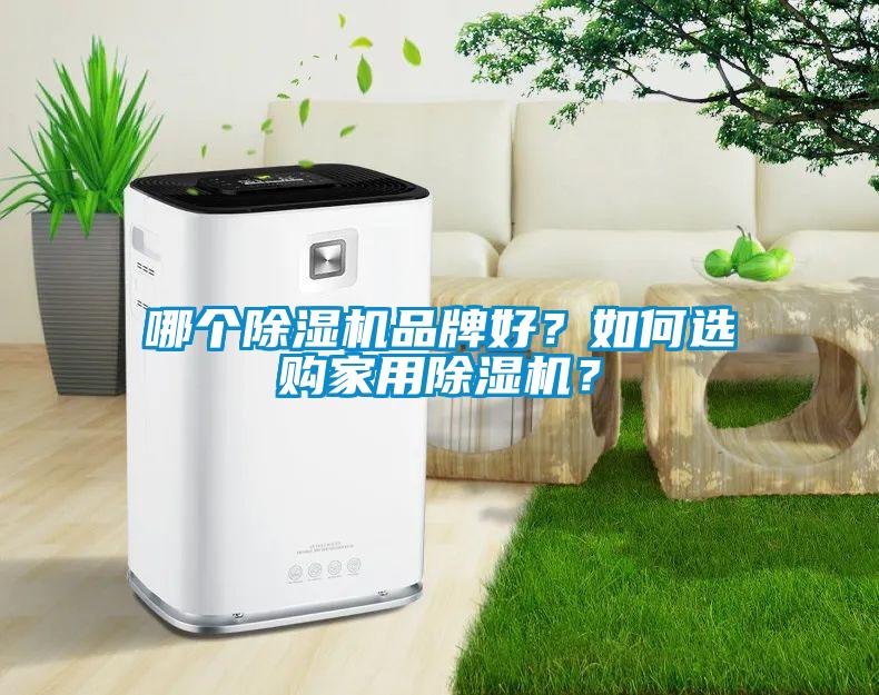 哪個除濕機品牌好？如何選購家用除濕機？