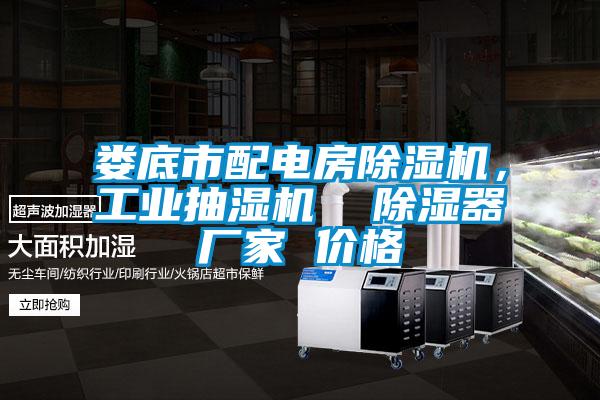 婁底市配電房除濕機(jī)，工業(yè)抽濕機(jī)  除濕器廠(chǎng)家 價(jià)格