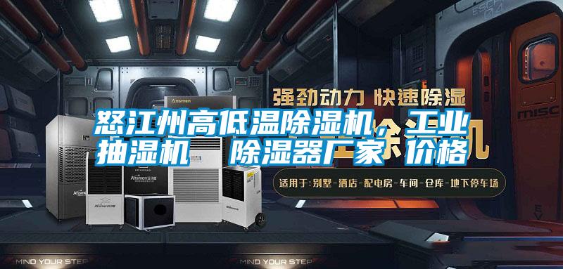 怒江州高低溫除濕機(jī)，工業(yè)抽濕機(jī)  除濕器廠家 價格