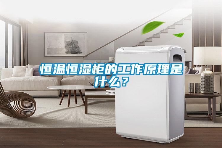 恒溫恒濕柜的工作原理是什么？