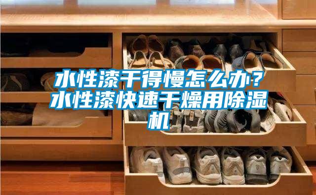 水性漆干得慢怎么辦？水性漆快速干燥用除濕機