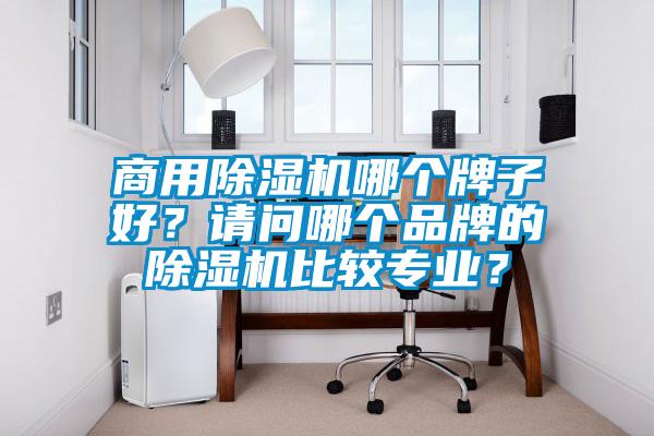 商用除濕機哪個牌子好？請問哪個品牌的除濕機比較專業(yè)？
