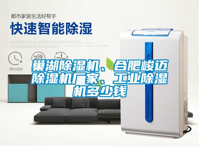 巢湖除濕機、合肥峻邁除濕機廠家、工業(yè)除濕機多少錢