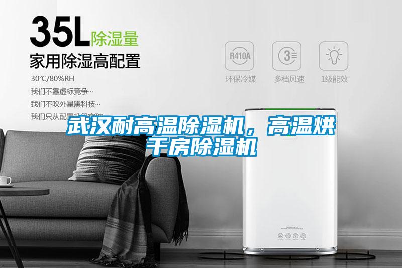 武漢耐高溫除濕機，高溫烘干房除濕機