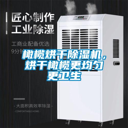 橄欖烘干除濕機(jī)，烘干橄欖更均勻更衛(wèi)生