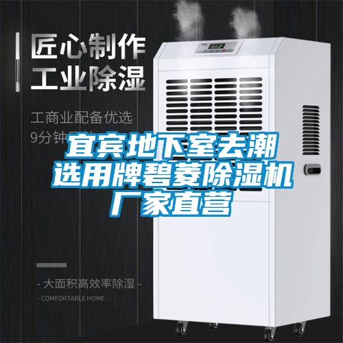 宜賓地下室去潮選用牌碧菱除濕機(jī)廠家直營(yíng)