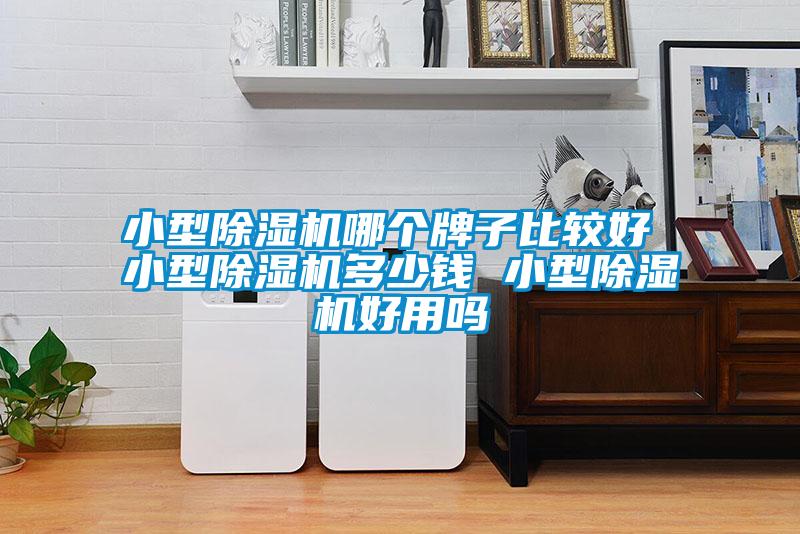 小型除濕機(jī)哪個(gè)牌子比較好 小型除濕機(jī)多少錢 小型除濕機(jī)好用嗎
