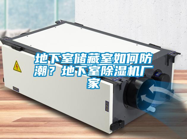 地下室儲(chǔ)藏室如何防潮？地下室除濕機(jī)廠家