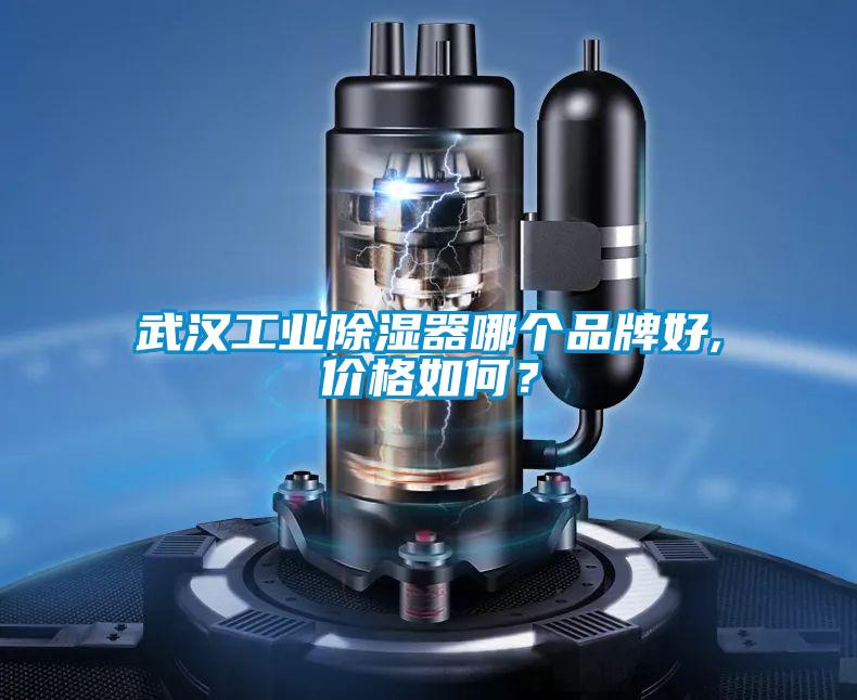 武漢工業(yè)除濕器哪個品牌好,價格如何？