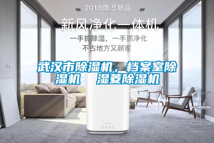 武漢市除濕機，檔案室除濕機  濕菱除濕機