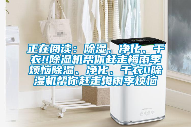 正在閱讀：除濕、凈化、干衣!!除濕機(jī)幫你趕走梅雨季煩惱除濕、凈化、干衣!!除濕機(jī)幫你趕走梅雨季煩惱