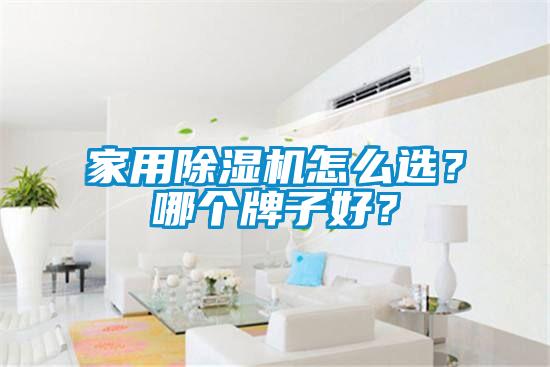 家用除濕機(jī)怎么選？哪個(gè)牌子好？