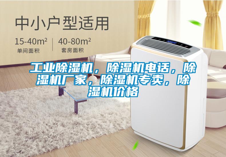 工業(yè)除濕機，除濕機電話，除濕機廠家，除濕機專賣，除濕機價格