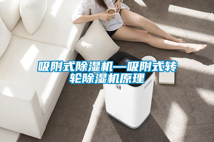 吸附式除濕機—吸附式轉(zhuǎn)輪除濕機原理