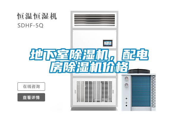 地下室除濕機(jī)，配電房除濕機(jī)價(jià)格