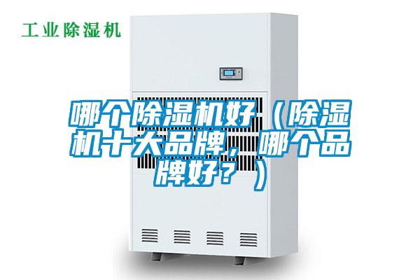 哪個(gè)除濕機(jī)好（除濕機(jī)十大品牌，哪個(gè)品牌好？）