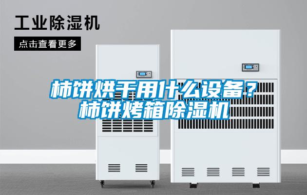 柿餅烘干用什么設(shè)備？柿餅烤箱除濕機