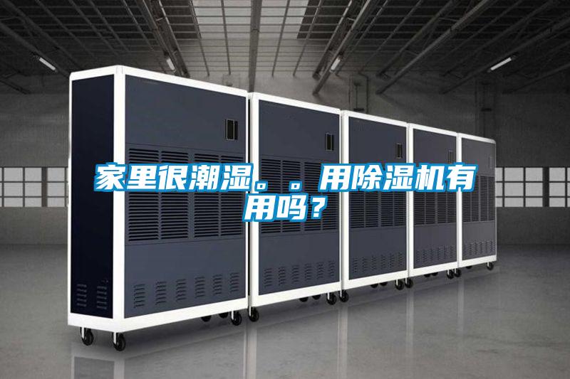 家里很潮濕。。用除濕機有用嗎？