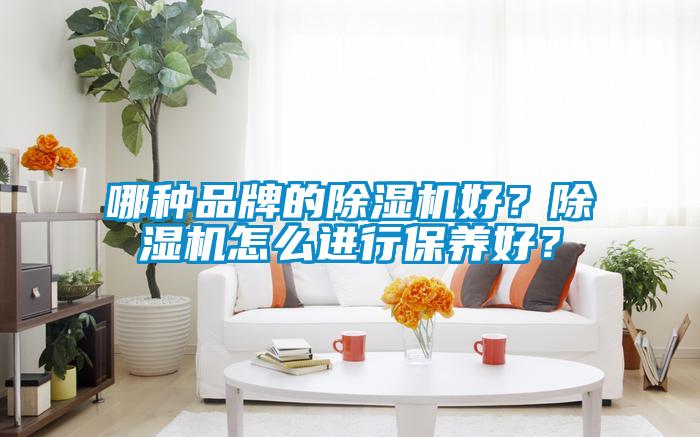 哪種品牌的除濕機好？除濕機怎么進行保養(yǎng)好？