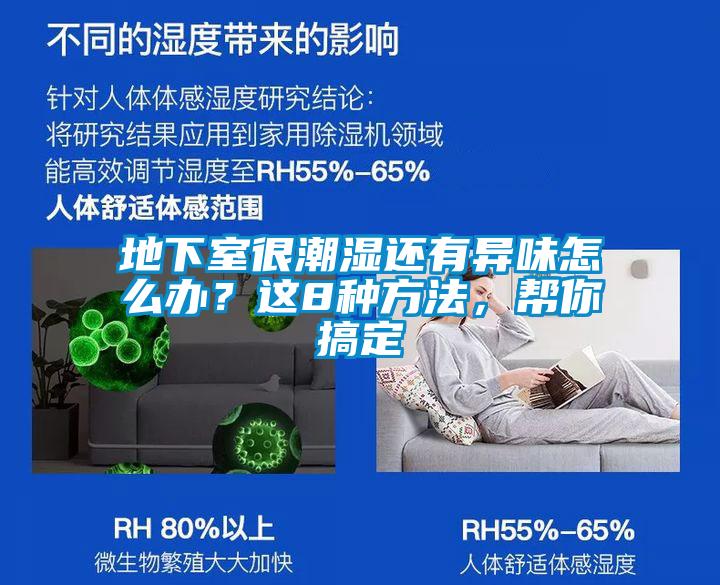 地下室很潮濕還有異味怎么辦？這8種方法，幫你搞定