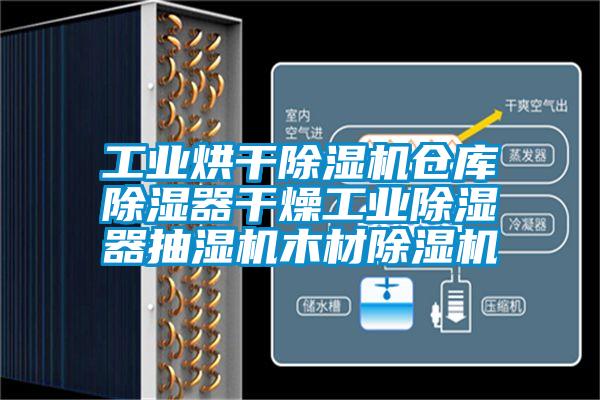 工業(yè)烘干除濕機倉庫除濕器干燥工業(yè)除濕器抽濕機木材除濕機