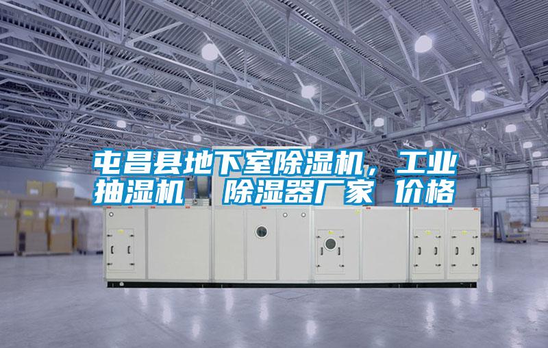 屯昌縣地下室除濕機，工業(yè)抽濕機  除濕器廠家 價格