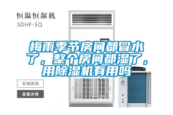 梅雨季節(jié)房間都冒水了，整個(gè)房間都濕了，用除濕機(jī)有用嗎