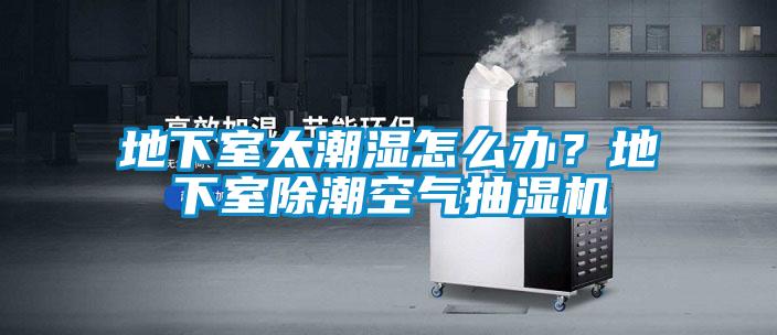 地下室太潮濕怎么辦？地下室除潮空氣抽濕機(jī)
